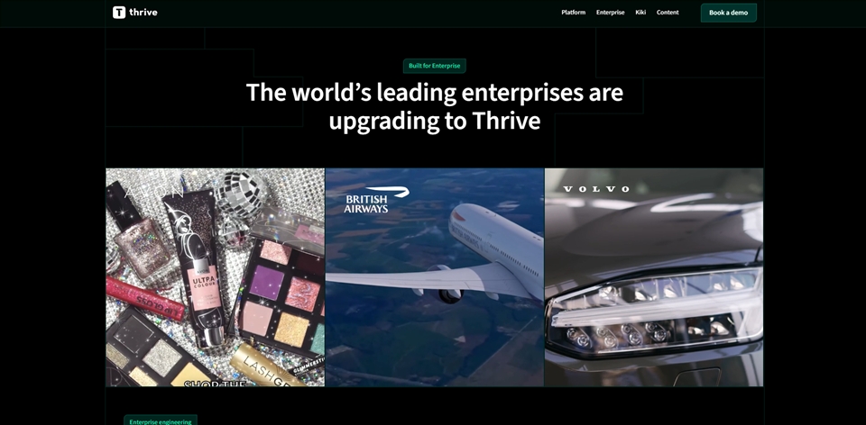 Thrive Learning gusye